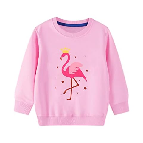 LXKA Girls Tops Pink Kids Jumper T Shirts Children Sweatshirts Long Sleeve Flamingo Toddler Clothes Cotton for Toddler Age 5-6 Years Cover