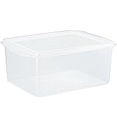 新輝合成 トンボ ナチュラル ジャンボシール 保存容器 抗菌 深型 大容量 20L 幅42.5×奥行33×高さ18.5cm NO.0 日本製