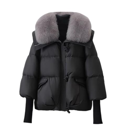 _ER[g fB[X _EWPbg fB[XR[g R[g AE^[  g  JWA  H~ h h ʊw ʋ ~ K-ubN XL