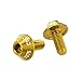 X AUTOHAUX 4 Pcs M5x12mm Bolts Screw for Bottle Cages for Mountain Road BMX MTB Bikes Bicycle Water Bottle Cage Hex Bolts Aluminum Alloy Gold Tone