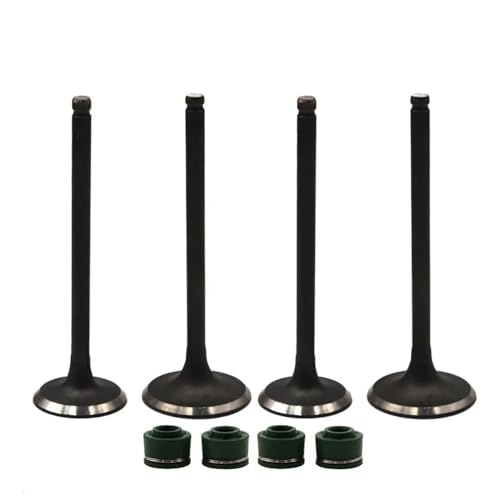 Sellos de aceite de válvula para reparar el motor de la motocicleta TT-R250