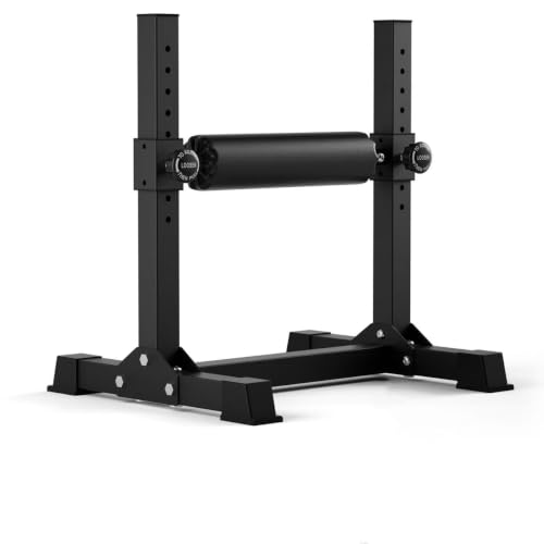 Bulgarian Split Squat Stand