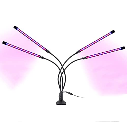 【Luci progressive a LED a spettro completo】Ci sono 3 modalità di colore (rosso,blu e luce mista)per la nostra luce di crescita delle piante.Il rosso favorisce la germinazione,la fioritura e la fruttificazione delle piante.Il blu favorisce la crescita delle foglie e delle radici delle piante.Il rosso e il blu misti prevengono la crescita anormale delle piante.È possibile modificare lo spettro luminoso in base alle diverse fasi di crescita.