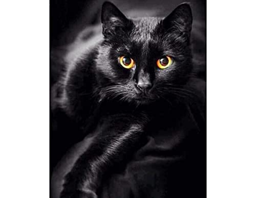 Canevas kit complet,Animaux Chat noir,11CT adulte kit canevas complet avec fils,debutant broderie point de croix imprimé,40x50cm