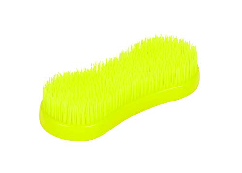 Roma Miracle Brush Large Purple #TOP5