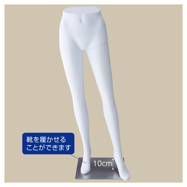 Amazon.co.jp: 軽量ABS製 婦人パンツトルソー 白 【 マネキン