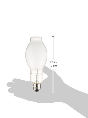 ミ*ん様 最終値下げNEC メタルハライドランプ MF250LSH2/BUP 3 ミ*ん様 最終値下げNEC メタルハライドランプ MF250LSH2/BUP 3