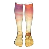 Soft Mid Calf Length Socks,African Zebras At Fairy Sunset On The Grassland Wildlife Adventure Theme In The Nature,Socks for Men Women