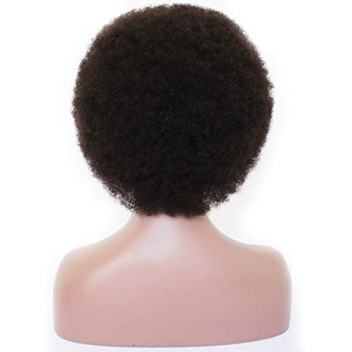 Fluffy Coil Malaysia Human Hair Full Lace Wigs Short Afro Kinky Curly Lace Front Wigs for Black Women (12inch, FullLaceWig)