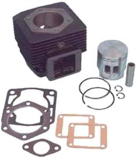 Buggies Unlimited EZGO Marathon Golf Cart Top End Engine Overhaul Kit | Compatible with 1989-1993 3PG 2-Cycle Models