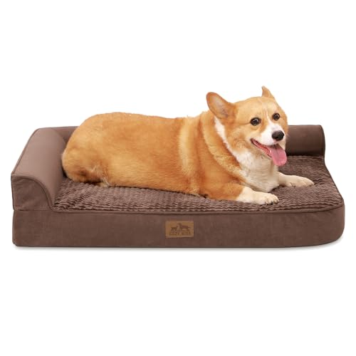 What small dogs like to cuddle