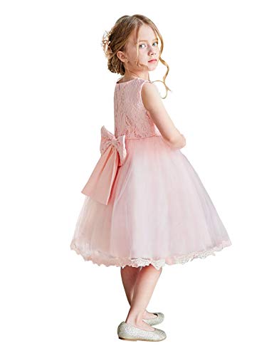 TTYAOVO Baby Girls Lace Embroidered Tutu Princess Birthday Party Dress Size 7-12 Months Pink