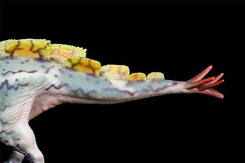 Wuerhosaurus figurine réaliste en PVC AMITD 1:35 modèle de collection - 7