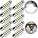 Gkromzo 42mm Festoon LED Light Bulbs Error Free LED Interior Lights Map Dome Lights Bulbs 211-2 578 569-Pure White(Pack of 10)