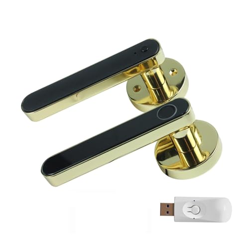 Manija de puerta inteligente Cerradura de puerta inteligente electrónica Digital con Tuya, manija de puerta biométrica con huella dactilar, contraseña Digital sin llave, hogar inteligente Cerraduras d