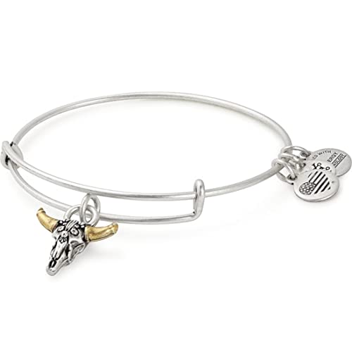 Alex and Ani Symbols and Tokens Expandable Bangle for Women, Spirited Skull Charm, Rafaelian Silver Finish, 2 to 3.5 in