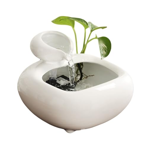 SENKAR Z~bNz fXNgbvItBX i R[q[e[upi 24#u (23#u)