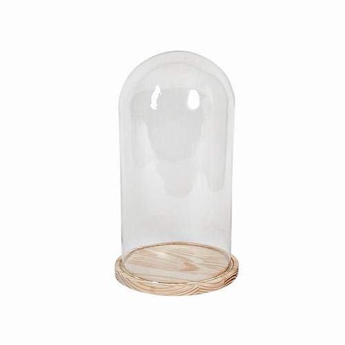 Gerimport Cúpula Cristal con Base Madera 40 x 20 cm