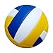 rockible Indoor Outdoor Game Volleyball Gym Competition Training Equipment Pool Volleyball for Beginners