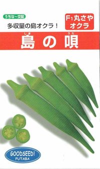 フタバ種苗 丸莢オクラ 島の唄 フタバ種苗 丸莢オクラ 島の唄
