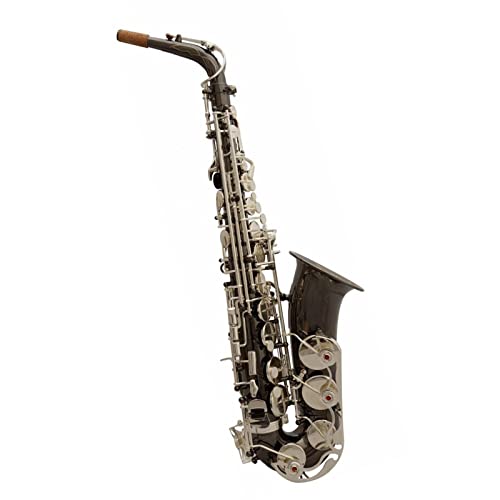 Alto E-Flat Saxophone jbPbLL[TbNX ANZT[t