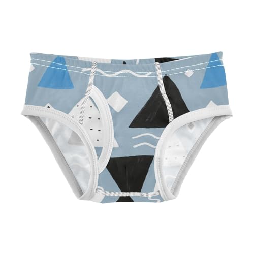 GuoChe Briefs for Boys Cotton in Sizes 2T,3T, 4T, 5T, 6Y and 8Y