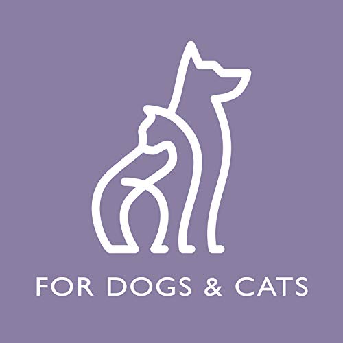 Tropiclean Spa Shampoo Tear Stain Remover For Dogs | Tearless Blueberry Facial For Dogs | Ideal For White Dogs & All Other Coats | Cat Friendly | Made In The Usa | 2.5 Gallons #TOP3