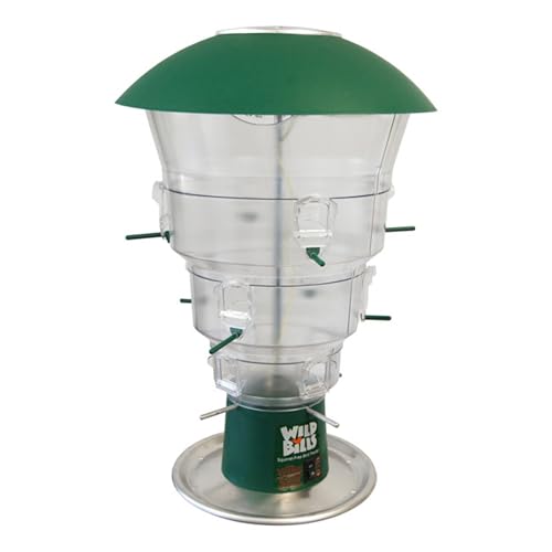 Wild Bills Electronic Bird Feeder & Waste Free Seed, 12 Port