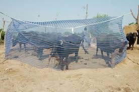 COFS HDPE Animal Mosquito Nets for Cow/Buffalo (20x10x10 Ft) (B0B469DB2C) Amazon Price History, Amazon Price Tracker