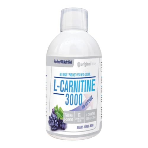 Perfect nutrition L Carnitine 3000, sin Cafeína, Mora   500 ml