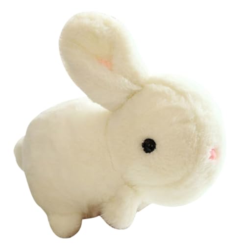 BESTonZON ETM̂ʂ ӂPPRbggp 킢 p ʂ݂̃h[ av[g T|[g