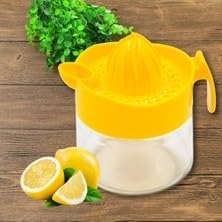 Cam Hazneli Portakal Limon Narenciye Meyve S kaca  400ml Turuncu