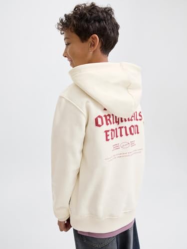 JACK & JONES Sweat À Capuche Impression Arrière Boys