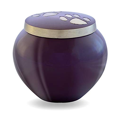 Best Friend Services Pet Urn - Memorial Cremation Pet Urns For Dog And Cat Ashes, Hand Carved Mia Series Urn For Pets Up To 25 Lbs (Small, Deep Purple, Double Pewter Paws) #TOP1