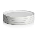 microondas DEGRENNE L\'Econome by Starck Juego de 4 Platos Llanos Redondos (24 cm), Color Rosa, Porcelana