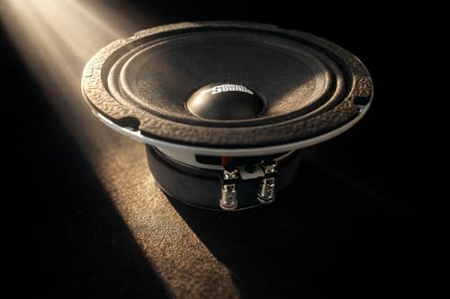 Resilient Sounds RS 65M 250w rms 4ohm 6.5