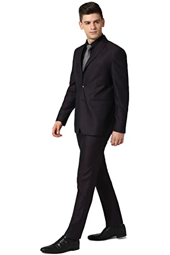 Image of Peter England Men's Polyester Blend Suit-Dress Set