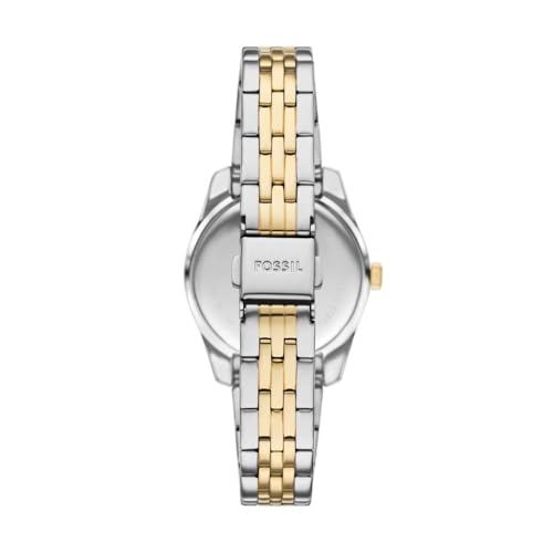La Mejor Selección de Fossil Reloj Dama - los preferidos. 15 Imagen adicional