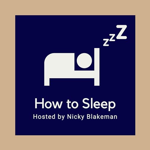 A Sumary Of How To Sleep cover art