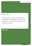 GRIN Verlag