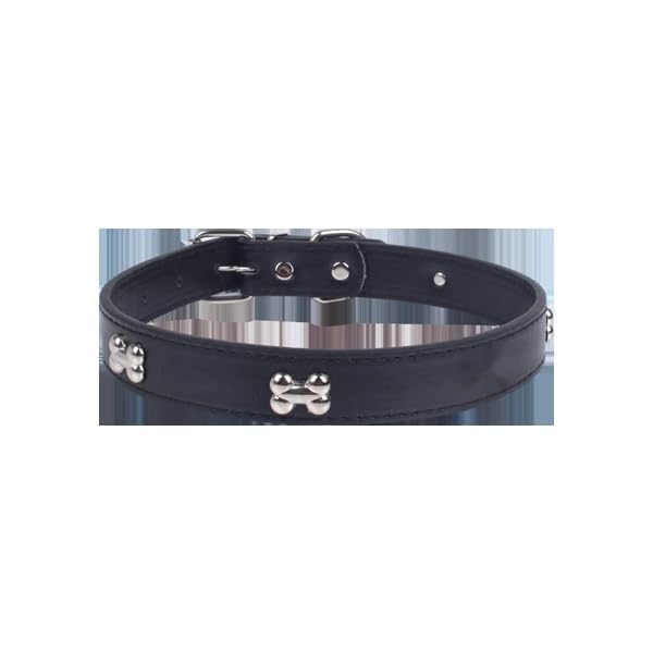 Patapalooza Metal Collar with Bone Shape Design, Durable and Adjustable, Ideal for Pet Control and Walking - Image 4