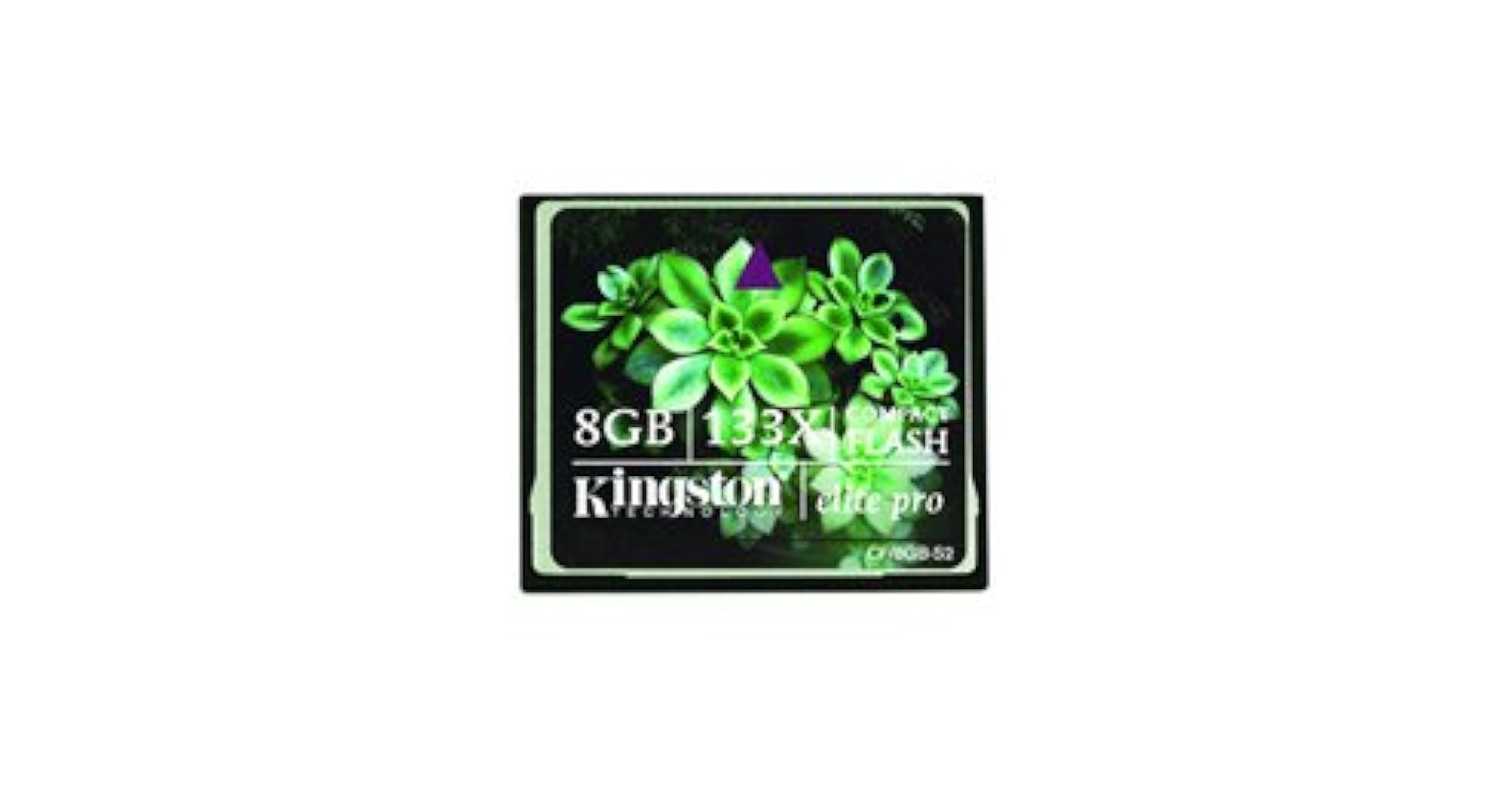 Amazon.com: Kingston 8GB Elite Pro CompactFlash Card - 133x
