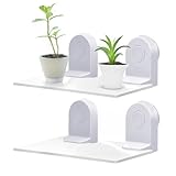 Window Garden