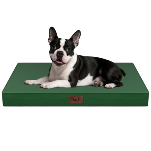 Tail Stories Orthopedic Waterproof Dog Bed for Small Dogs and Cats