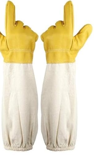 SǃK[h h   O[u Q쏜 I 쏜 Ԃ  ΍ 悯 {I  K[fjO R  Ip h n` (M,CG[)