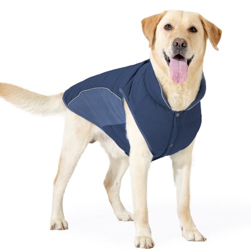 TCY S-3XL ˌpWPbgA^A^A^pyʃR[gAybgp_EWPbg(lCr[AXXLTCY)