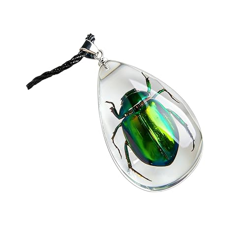 Acxico 1Pcs Egyptian Scarab Beetle in Resin Charm Tibetan Silver 18' Necklace