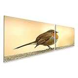 islandburner Prime Bild auf Leinwand Rotkehlchen Bilder 