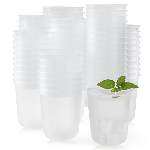 Yicentdp 100 Pack Frosted Plastic Cups Clear Disposable Cocktail Glasses for Graduation Wedding Holiday Birthday Party (12 Oz)