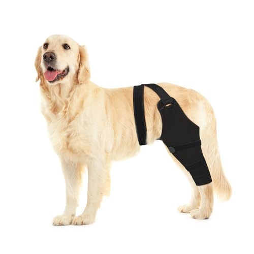 Dog rear leg sleeve for recovery and protection